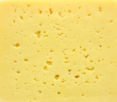 Background of fresh yellow Swiss cheese with holes