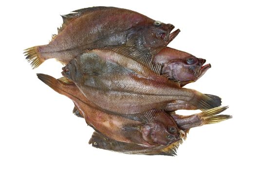 Four fresh flounder fishes on white background