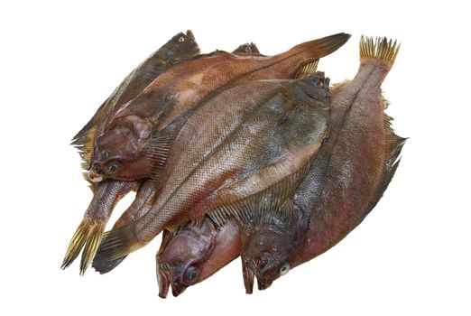Four fresh flounder fishes on white background