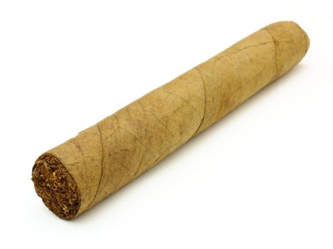 The new big Cuban cigar lies on a white background