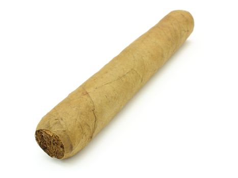 The new big Cuban cigar lies on a white background