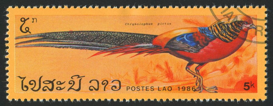 LAOS - CIRCA 1986: stamp printed by Laos, shows bird pheasant, circa 1986.