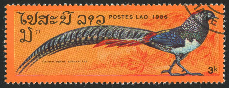 LAOS - CIRCA 1986: stamp printed by Laos, shows bird pheasant, circa 1986.