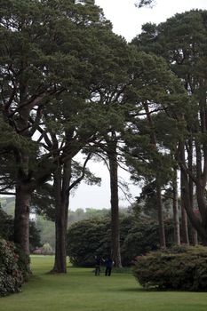 two people exercising with nature