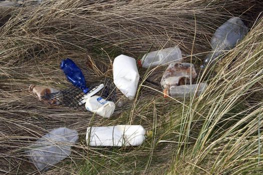 waste pollution on our coast