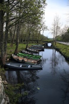 a row of rowing boats