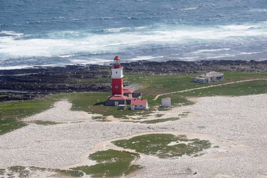 Lighthouse on an island populated by birds