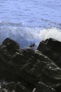 Rocks by the ocean