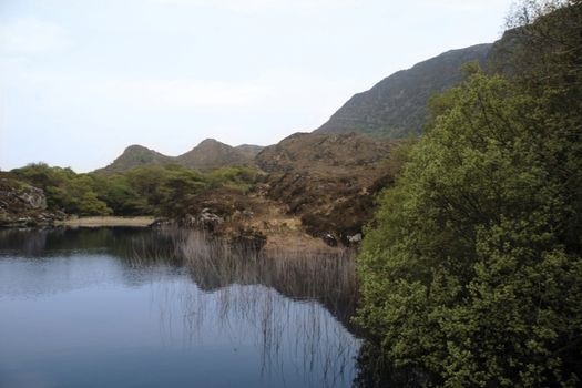 scenic view of a killarney lake