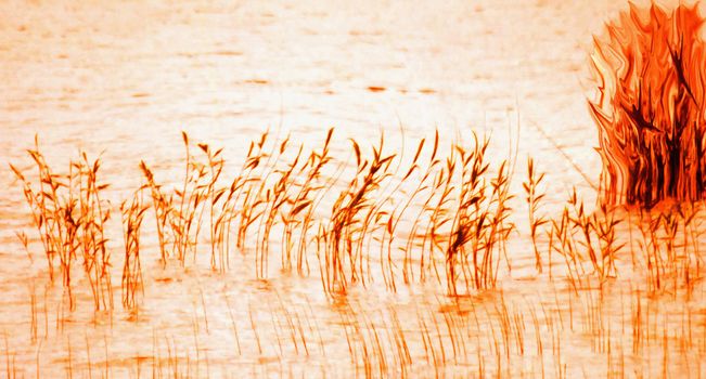 manipulation of reeds to a flame dance