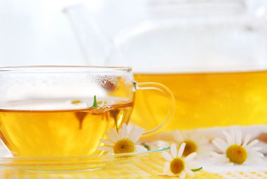 Teacup and teapot with herbal soothing camomile tea