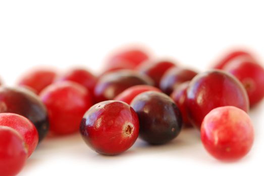 Fresh red cranberries macro on white background