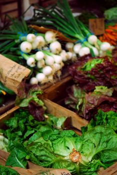 Fresh vegetables for sale on french farmers market in Perigueux, France