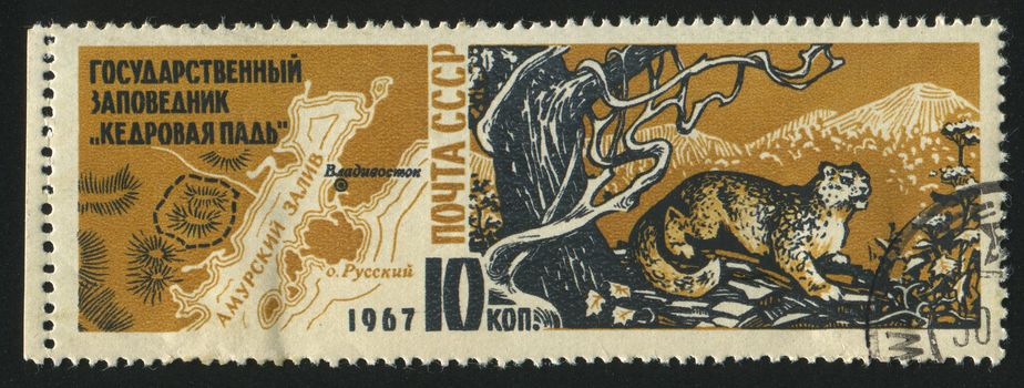 RUSSIA - CIRCA 1967: stamp printed by Russia, shows, map of Cedar Valley Reservation and Snow Leopard,  circa 1967.