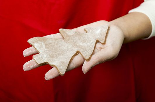 Woman holding a homemade Gingerbread cookie with a shape of a Christmas tree