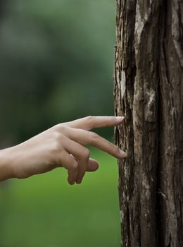 Female hand walking over a trunk of a tree. Great ecology concept