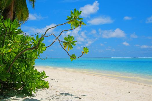 White beach and turquoise water on Meeru Island, Maldives