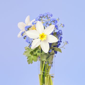 An image of two white daffodil in a vase