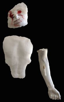 Composition of human torso and head, looking very scary