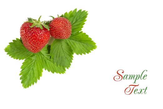 Strawberry in bark basket