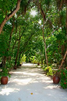 White beach and pathway on Meeru Island, Maldives