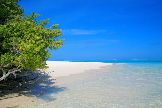 White beach and turquoise water on Meeru Island, Maldives