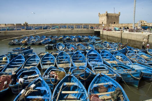 Boats in Essaouira, Morocco