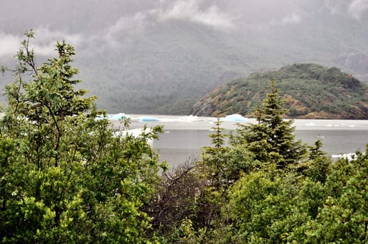 Alaskan Glaciers