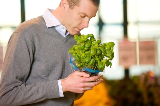 A man buying fresh basil in the grocery store