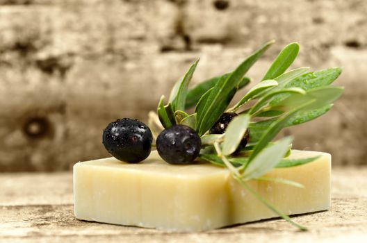 a piece of soap with an olive branch