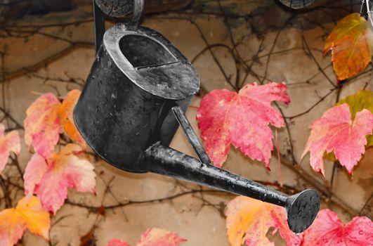 a watering can with autumnal foliage in the background