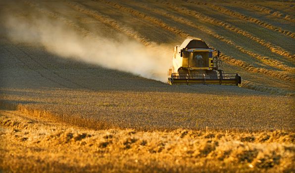 a combine harvester at work