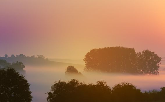 Misty atmosphere early in the morning on the countryside.