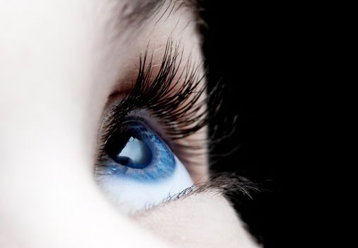 Blue eye closeup of a girl