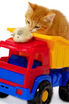 A sweet kitten is playing with mouse and toy truck