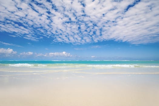 Exotic beach with white sand and the sky is blue with clouds. Dominican Republic, Punta Cana.