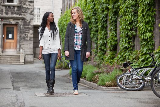 Two young friends having a casual chat while walking on street