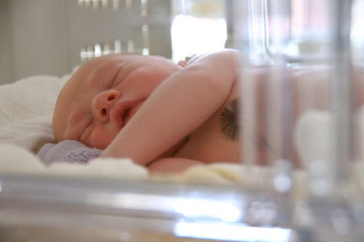 New born baby lying in incubator in hospital