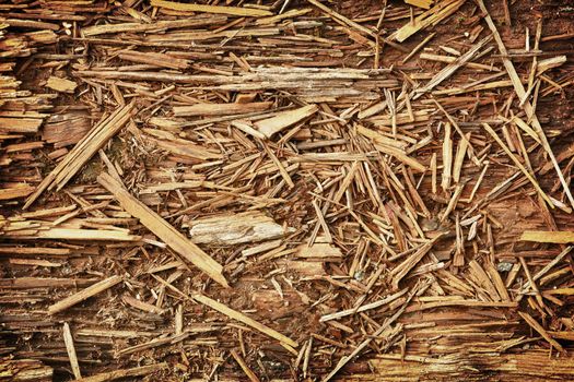 Rotten brown chips - the natural background