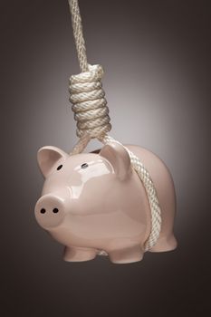 Piggy Bank Hanging in Hangman's Noose on Spot Lit Background.