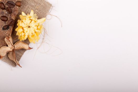 some dried brown decoration and flower in the corner with copyspace