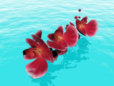 red orchid petals on the water