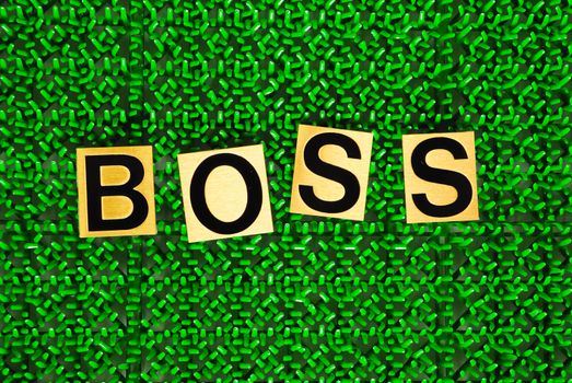 boss on green background