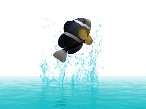a fish jumps out of the water