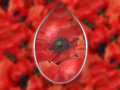poppies and the drop 