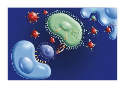 diagram illustration of flu virus attack