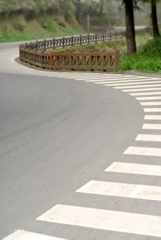 Zebra crossing in beautiful curve on road in forest in Alishan National Scenic Area, Taiwan, Asia.