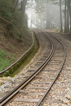 Railroad with nobody in forest with fog in Alishan National Scenic Area, Taiwan, Asia.
