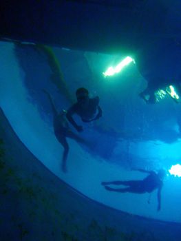 Underwater scene, training of freedivers