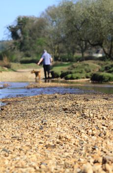 A portrait format image of a rural scene set at a low angle, with focus to middle distance of a male figure walking a dog on a sunny sunday afternoon. Set in the New Forest in Hampshire UK.